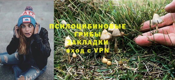бутират Коряжма