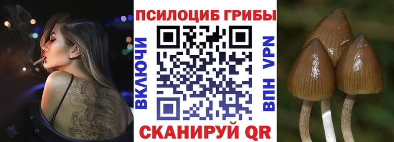 Псилоцибиновые грибы мухоморы  купить наркоту  Афипский 